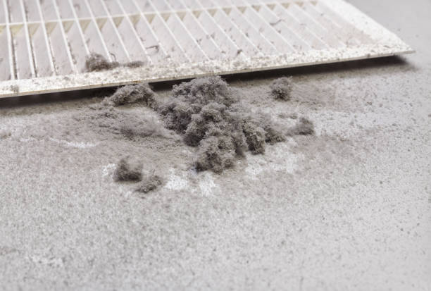 Best Professional Duct Cleaning Services  in Cherokee, IA