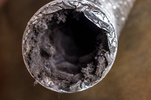Best HVAC Duct Inspection Services  in Cherokee, IA